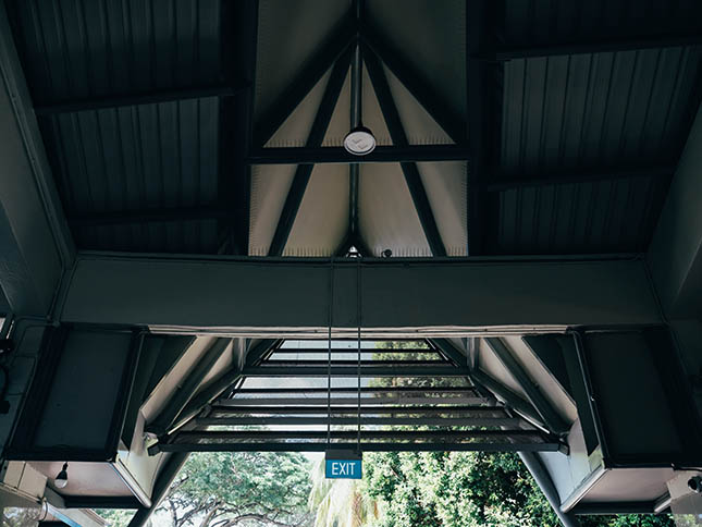 <em>Photo by Rebecca Toh</em>